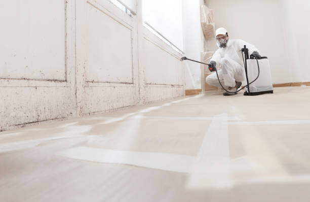 24/7 Emergency Mold Removal experts in Camp Hill, PA